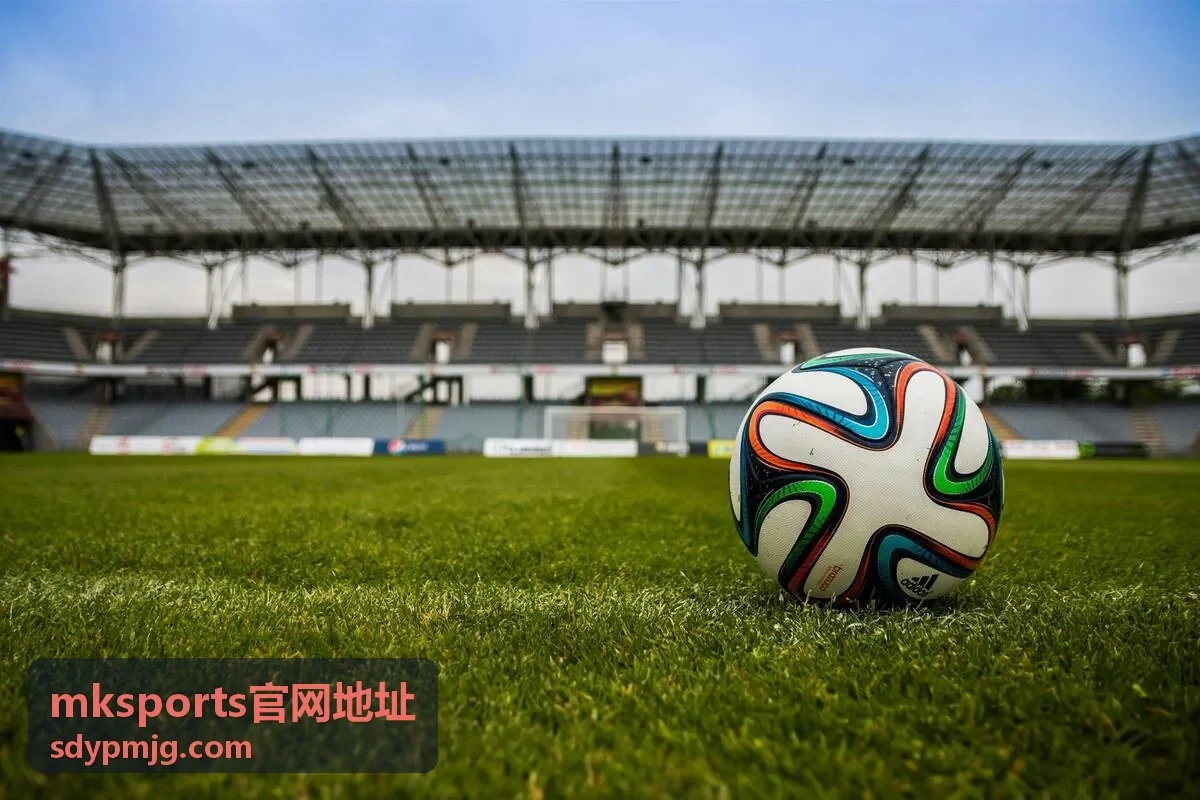 mksports官网地址活动入口提示封面