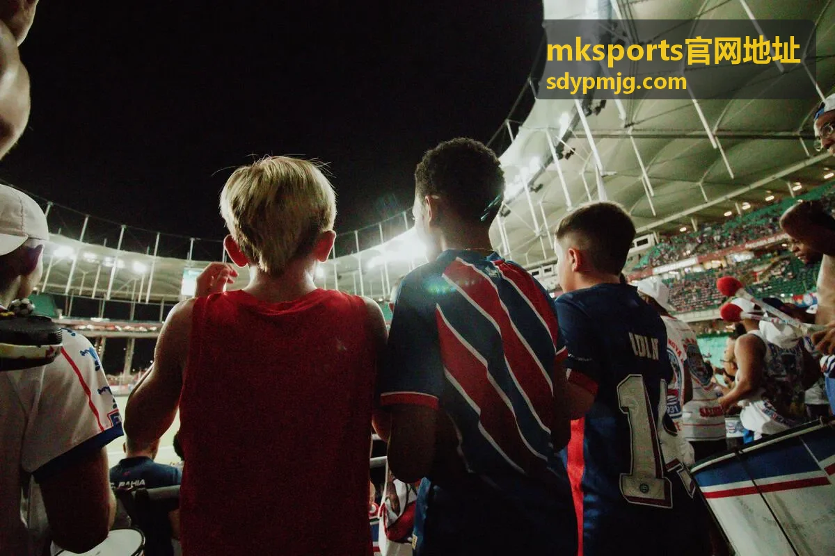 mksports官网地址入口识别示意