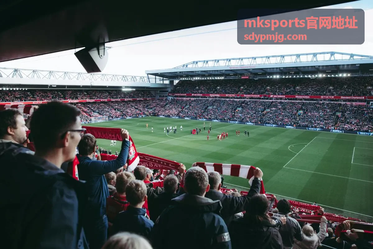 mksports官网地址主导航阅读示意