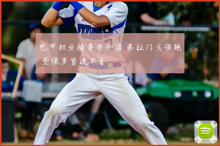 巴甲积分榜争夺升温 弗拉门戈领跑 圣保罗紧追不舍