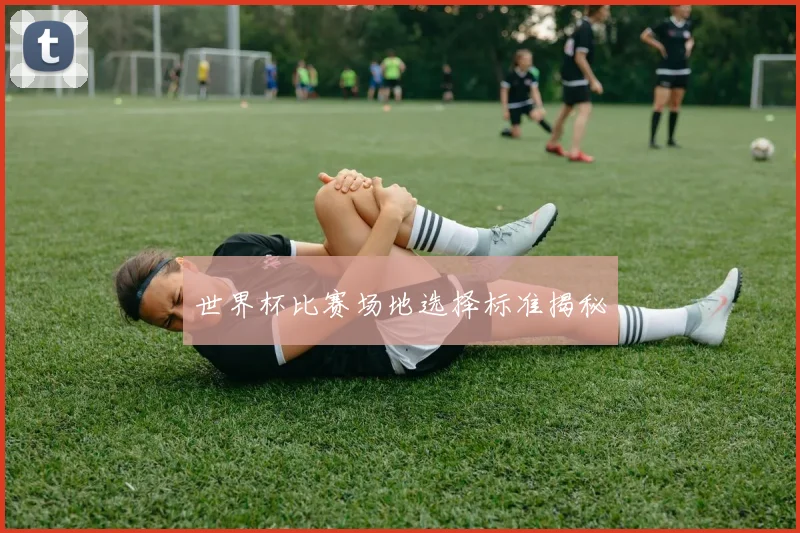 世界杯比赛场地选择标准揭秘